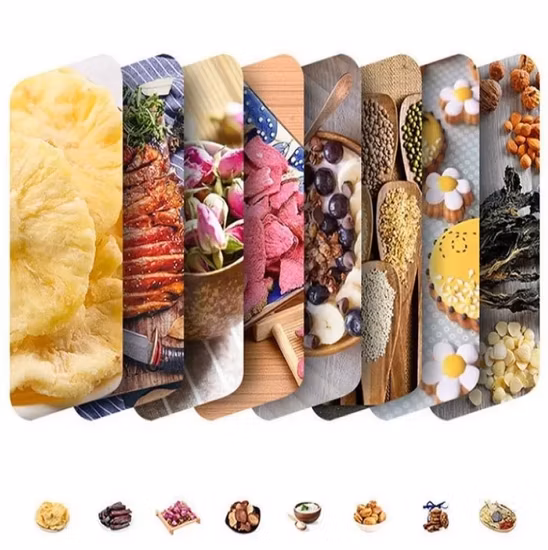 Desidratador profissional de alimentos com cogumelos 220V para desidratação agrícola