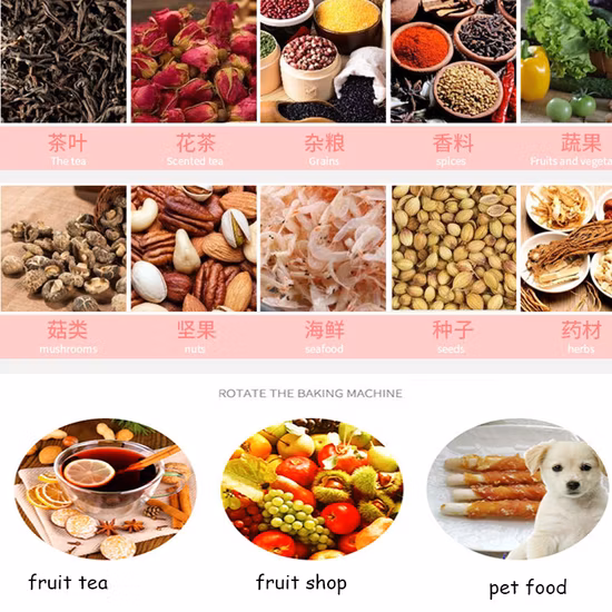 Desidratador profissional de frutas, carne industrial, alimentos, mandioca, comercial, aço inoxidável, máquina desidratadora de legumes