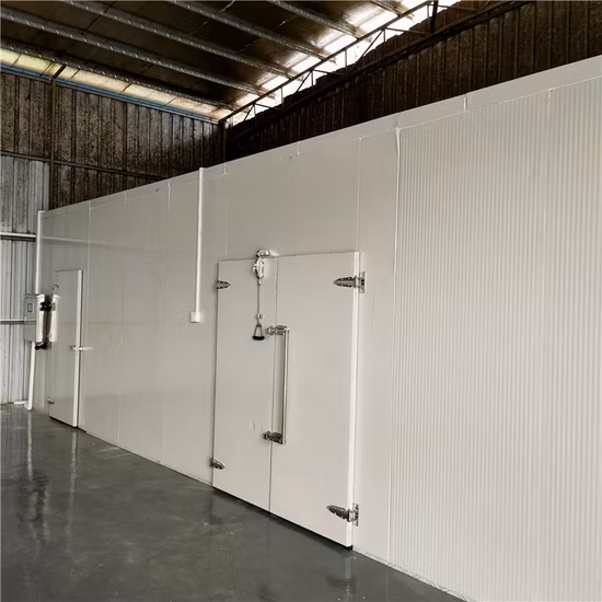 Máquina de secagem industrial de frutas desidratador de alimentos profissional